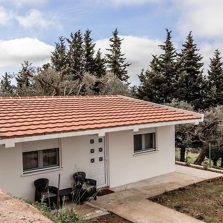 Olive Grove Bar Exterior foto